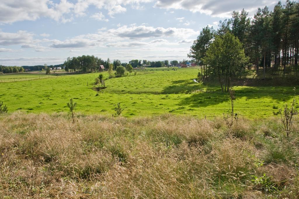 Agroturystyka Sominy Piotr Exterior photo