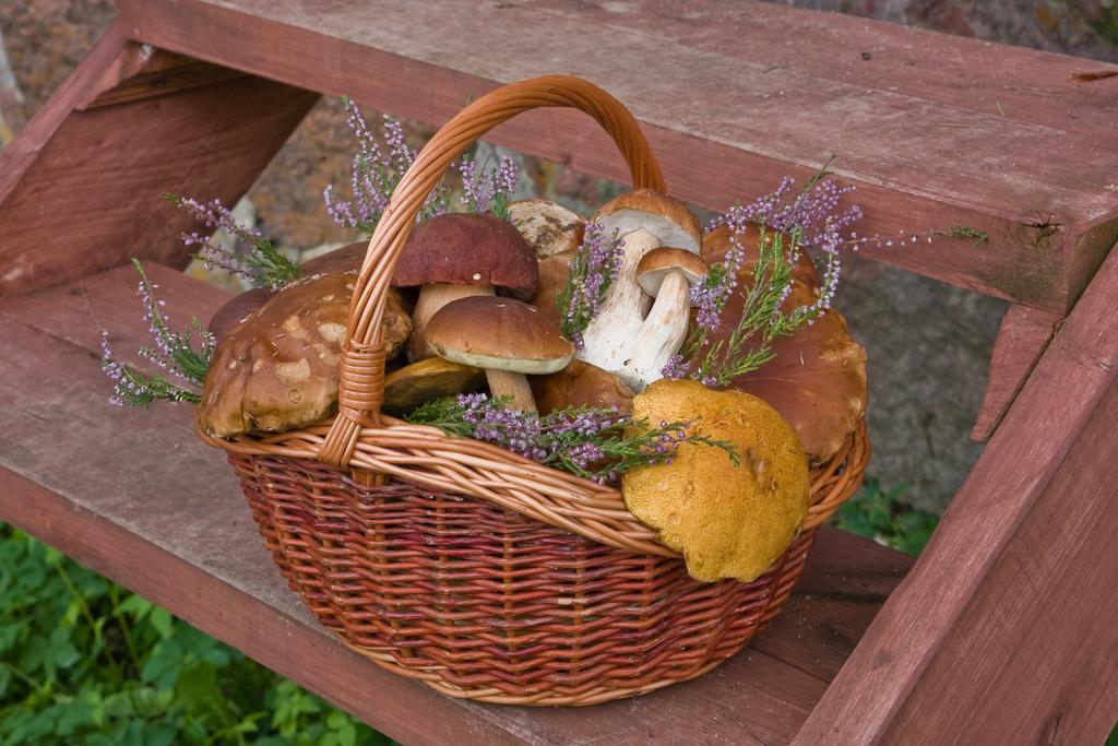 Agroturystyka Sominy Piotr Exterior photo