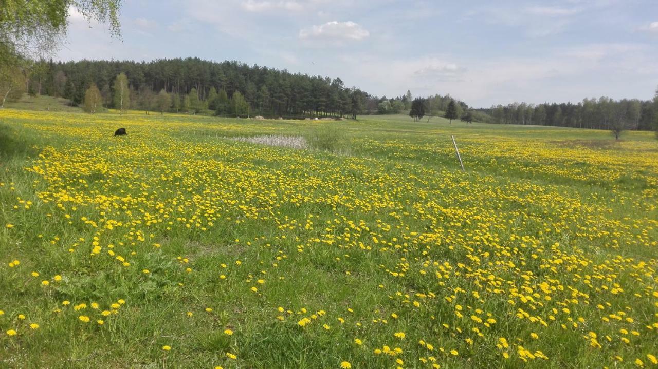 Agroturystyka Sominy Piotr Exterior photo