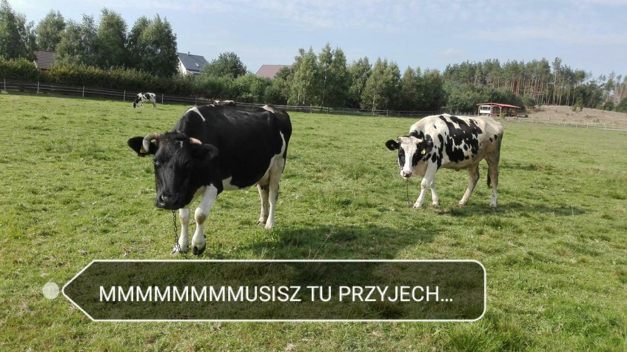 Agroturystyka Sominy Piotr Exterior photo